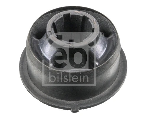 Mounting, control/trailing arm